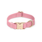 Perfect Pink Waterproof Collar - Modern Companion