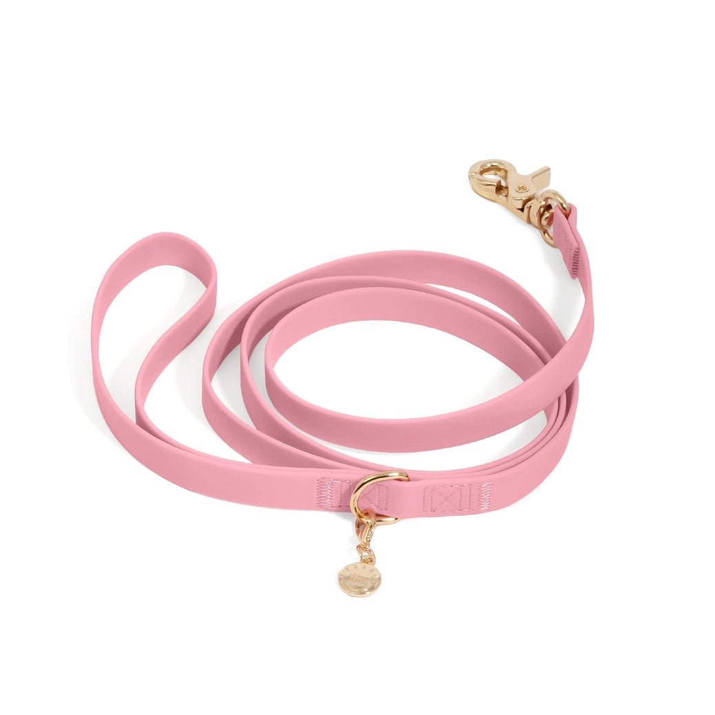 Perfect Pink Waterproof Leash - Modern Companion