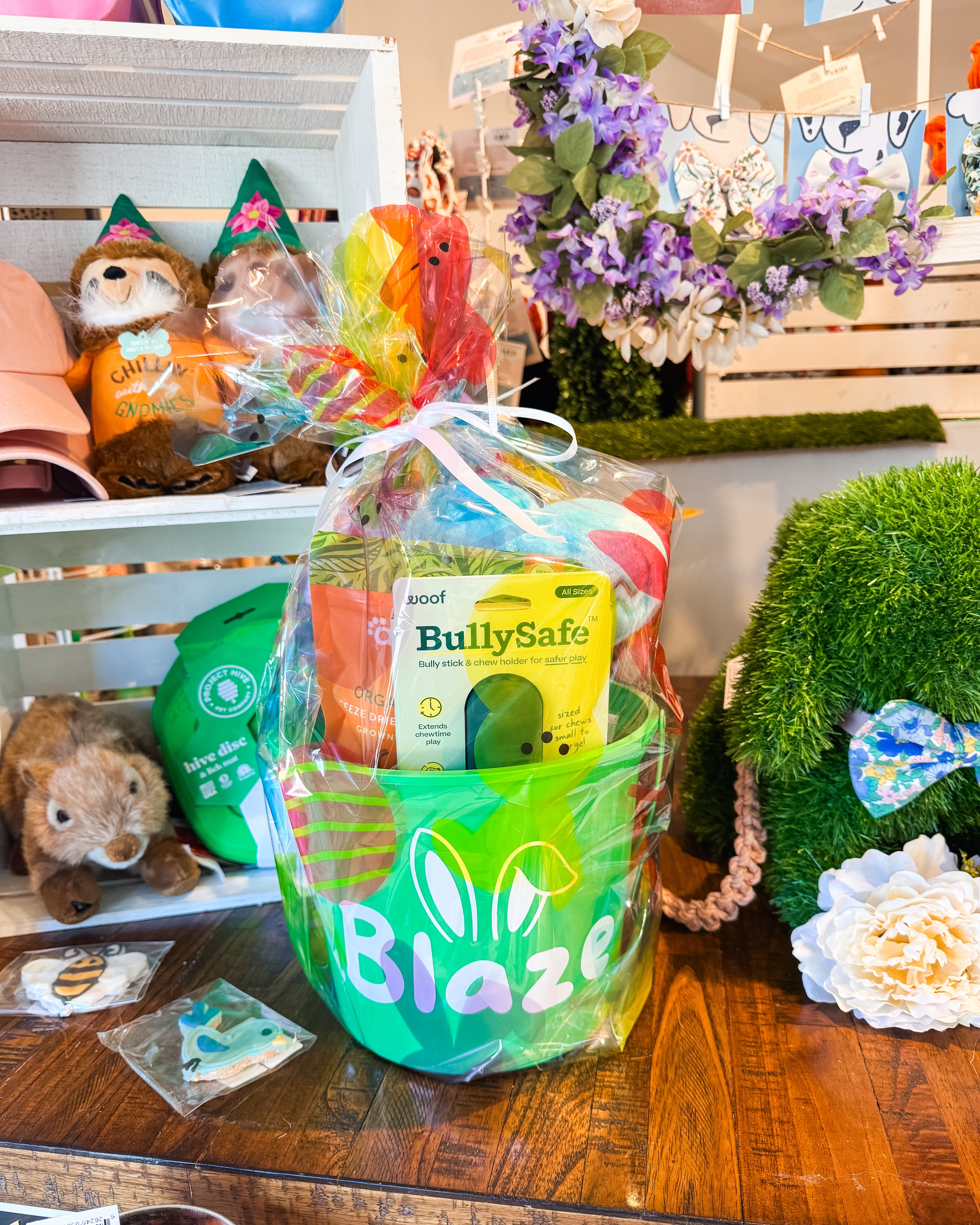 Pet Easter Baskets - Modern Companion