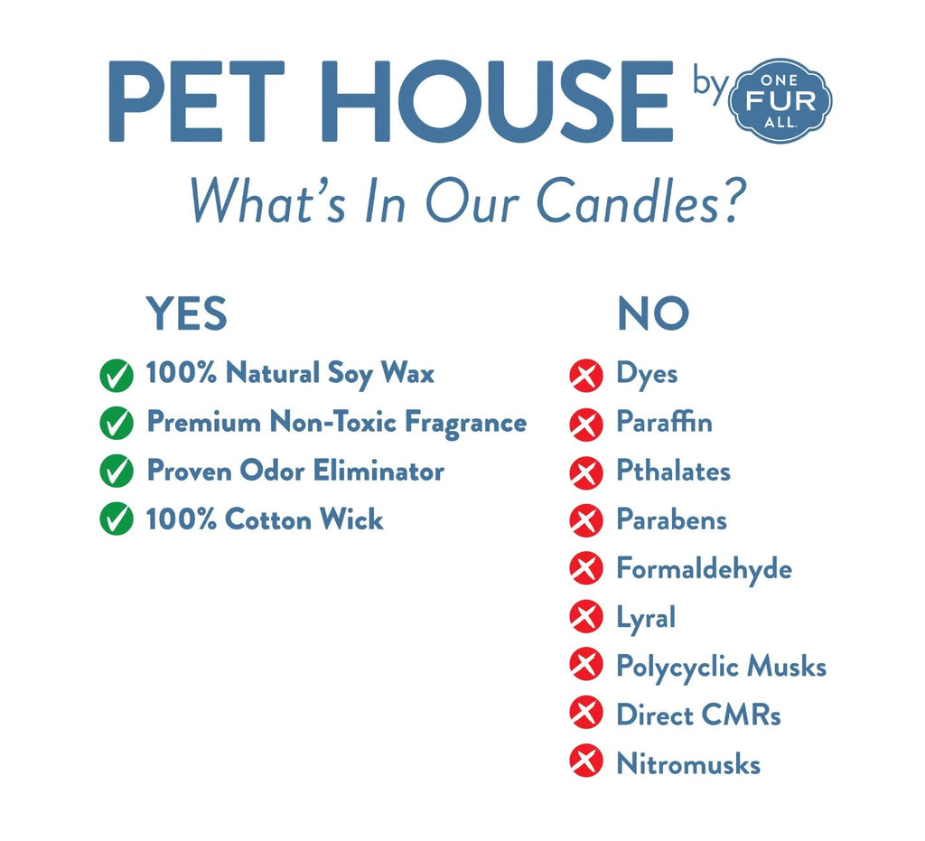 Pet House Candle - Tropical Fruit - Modern Companion