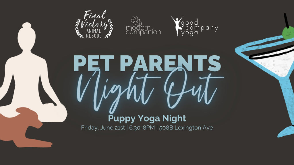 Pet Parents Night Out - Puppy Yoga - Modern Companion