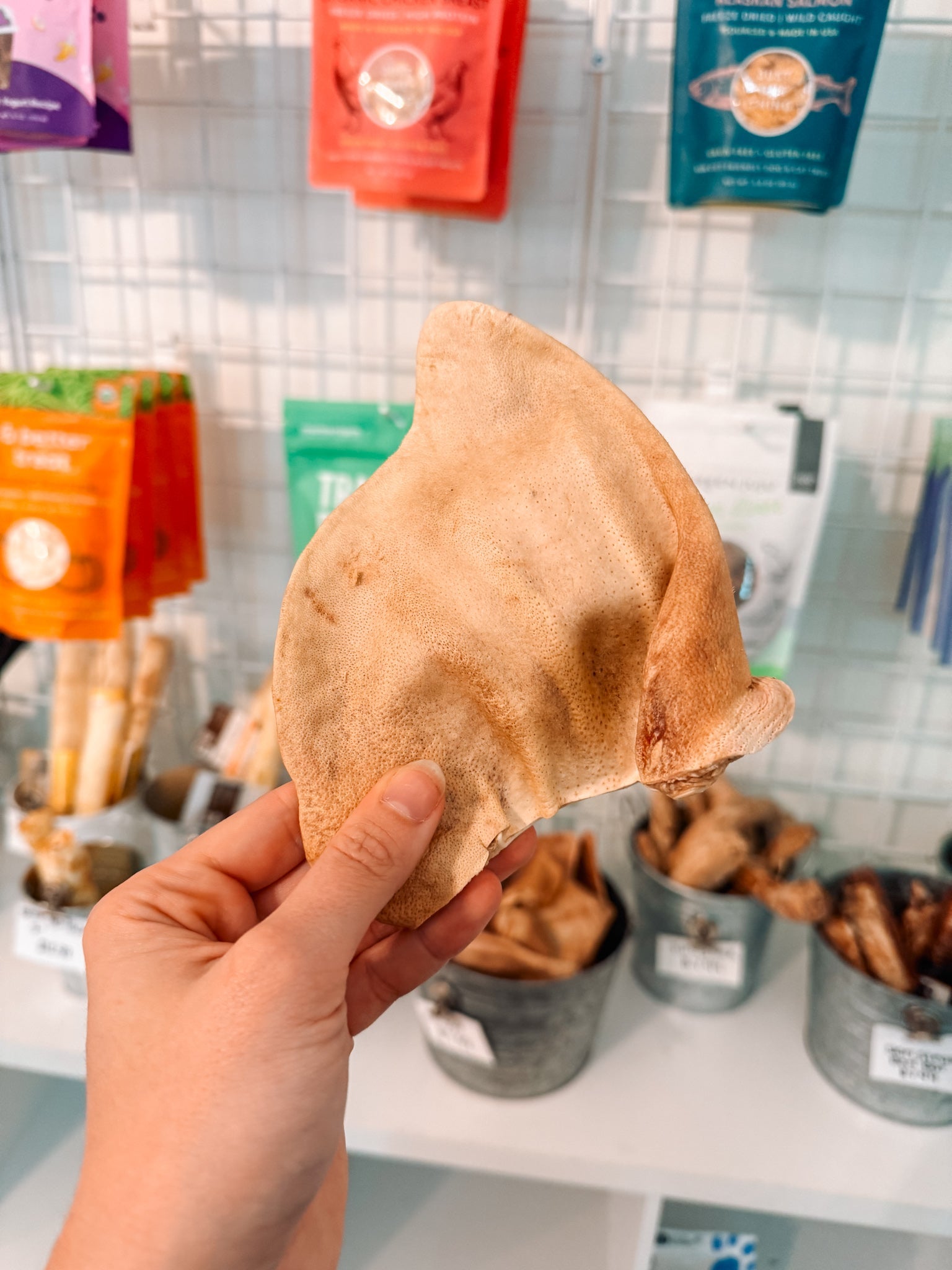 Pig Ear Chew - Modern Companion