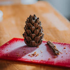 Pinecone Puzzle Toy - Modern Companion