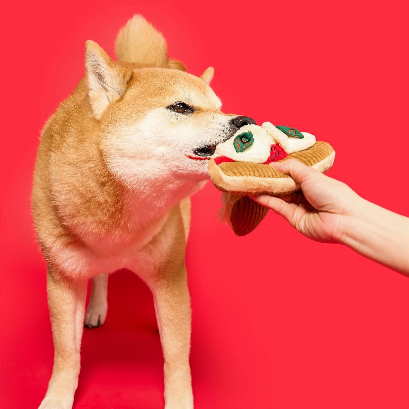 Pizza Nosework Toy - Modern Companion