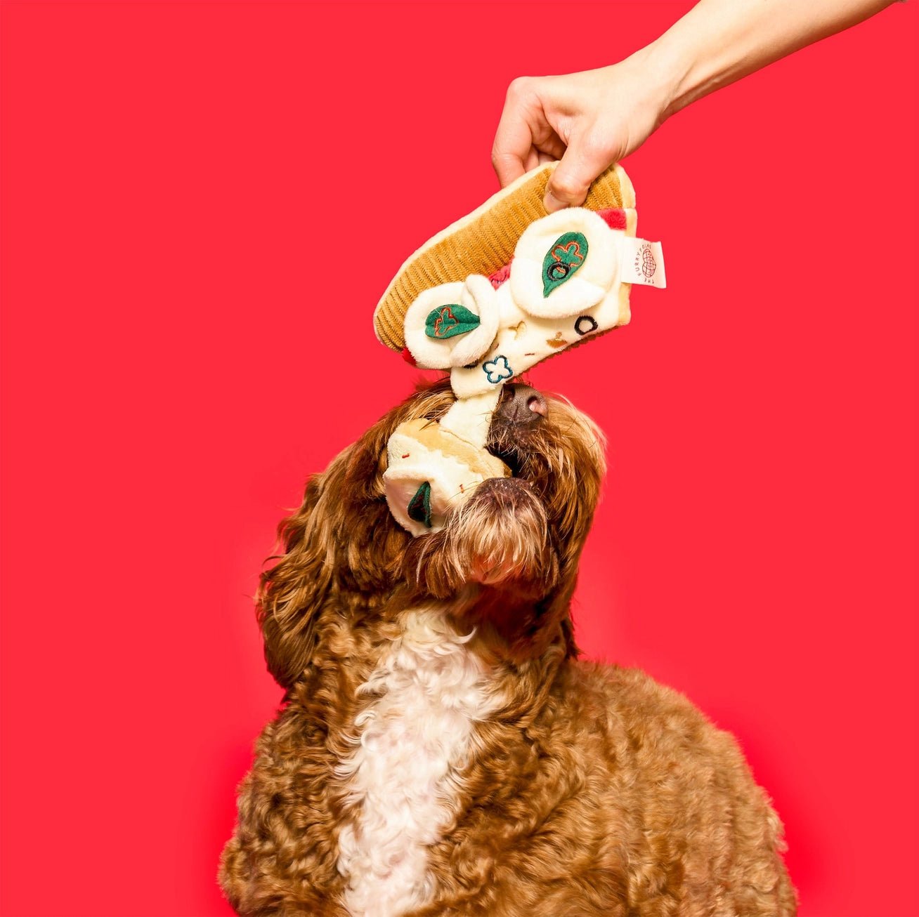 Pizza Nosework Toy - Modern Companion