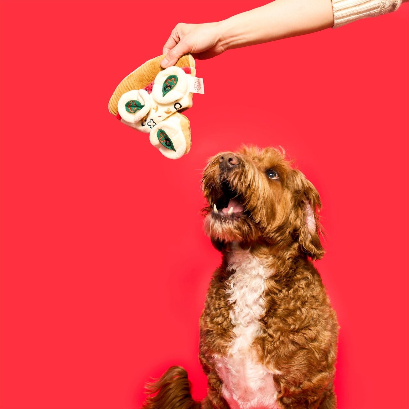 Pizza Nosework Toy - Modern Companion