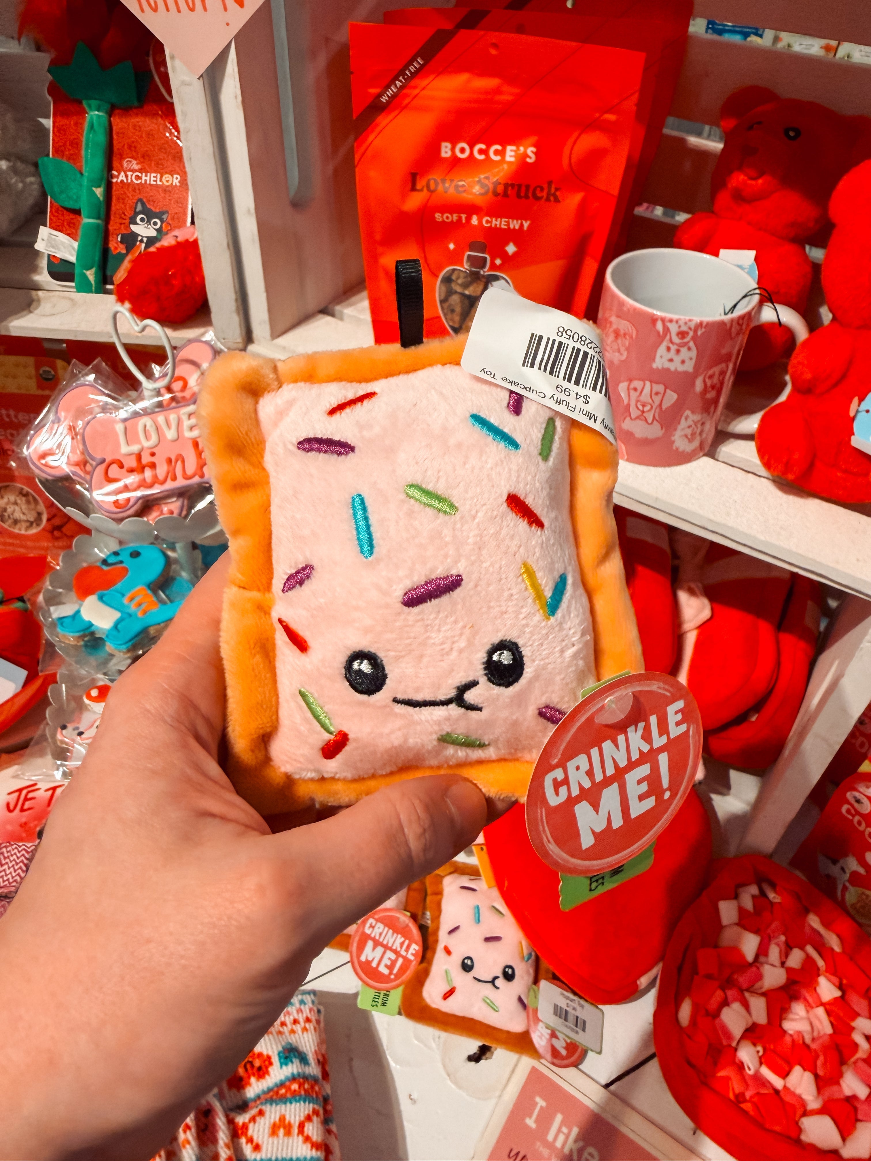 Poptart Toy - Modern Companion