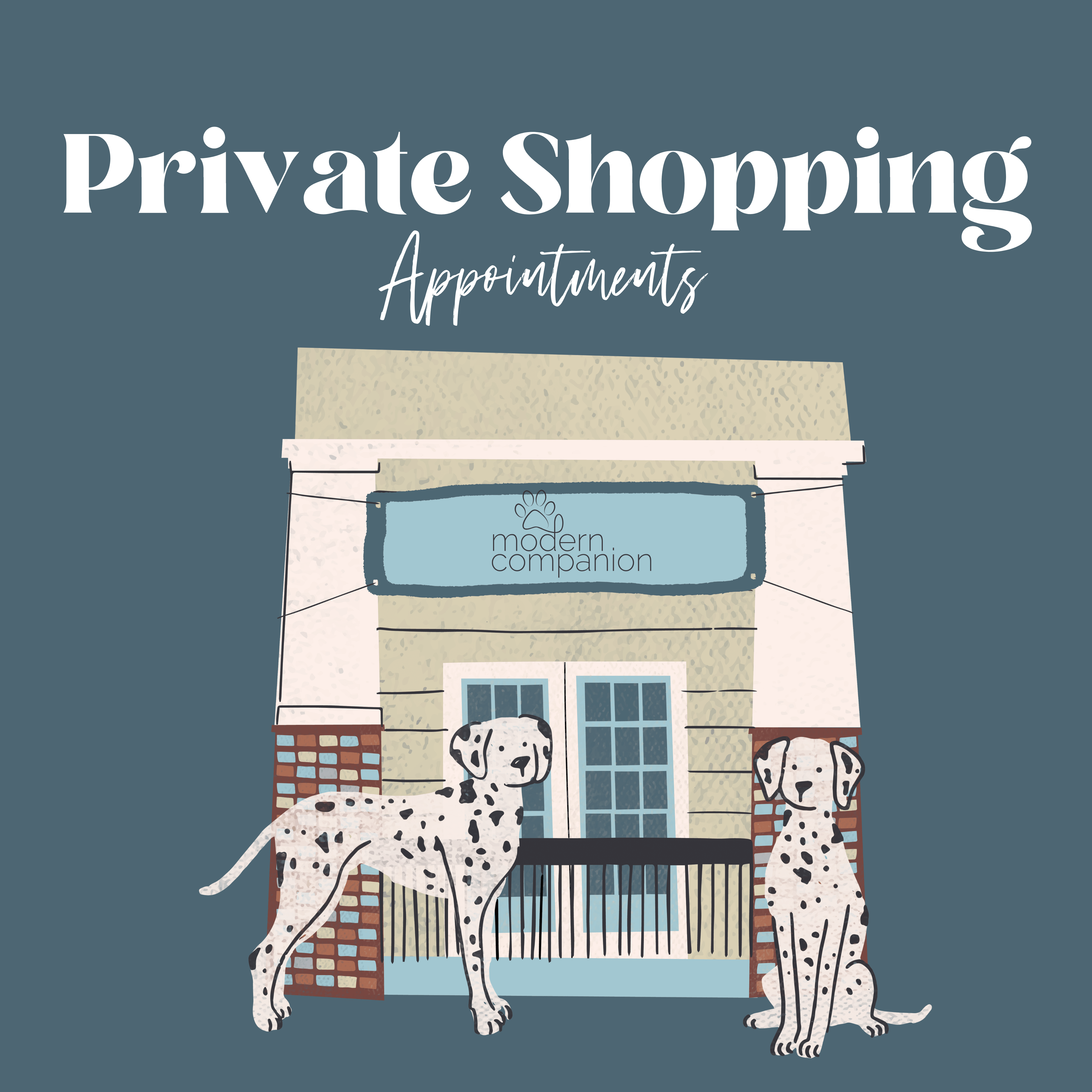 Private Shopping Appointment - Modern Companion