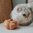 Pumpkin Cat Snuffle Toy - Modern Companion