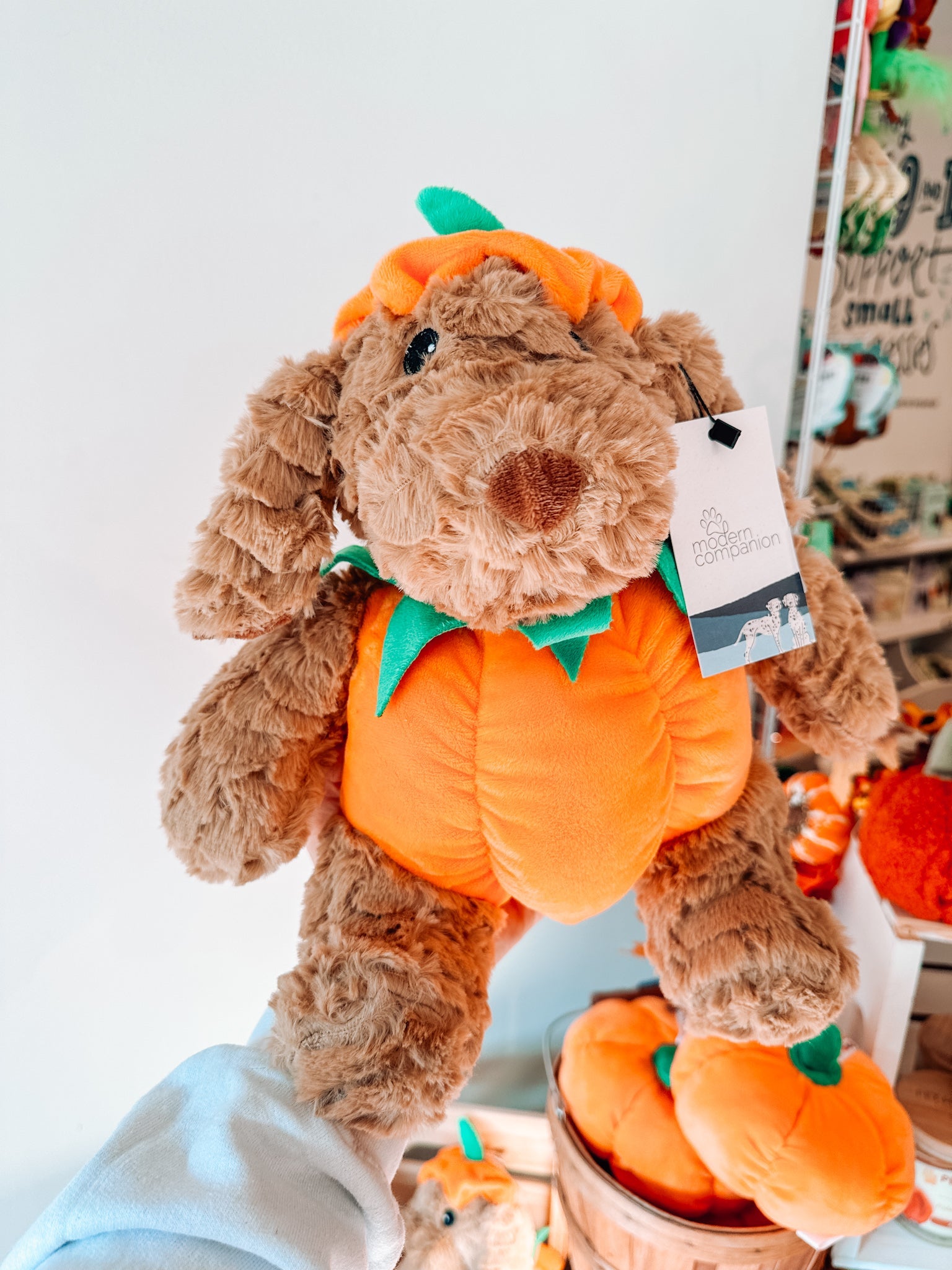 Pumpkin Dog Toy - Modern Companion