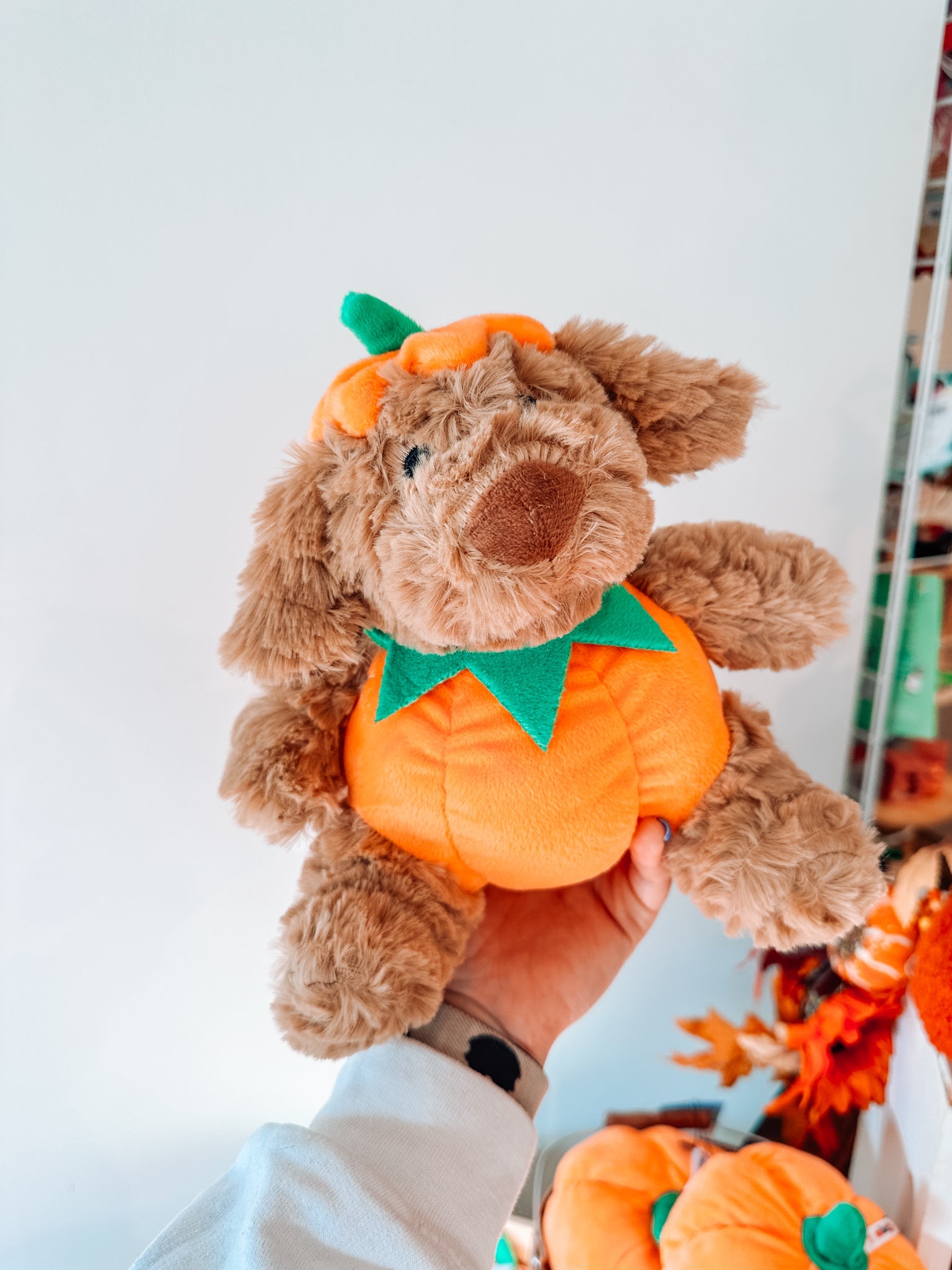 Pumpkin Dog Toy - Modern Companion