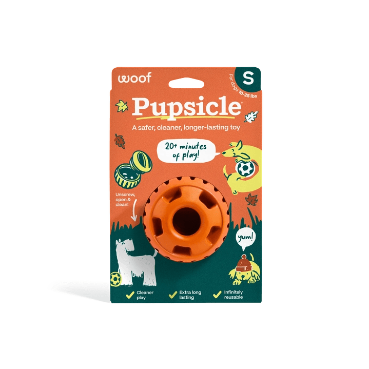 Pumpkin Pupsicle - Modern Companion