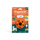 Pumpkin Pupsicle - Modern Companion
