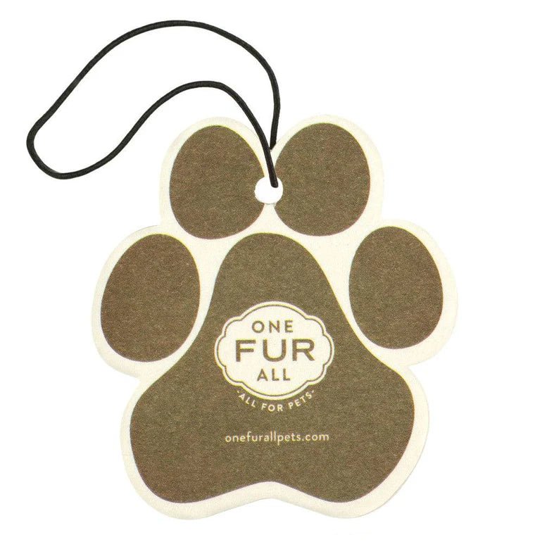Pumpkin Spice Car Freshener - Modern Companion