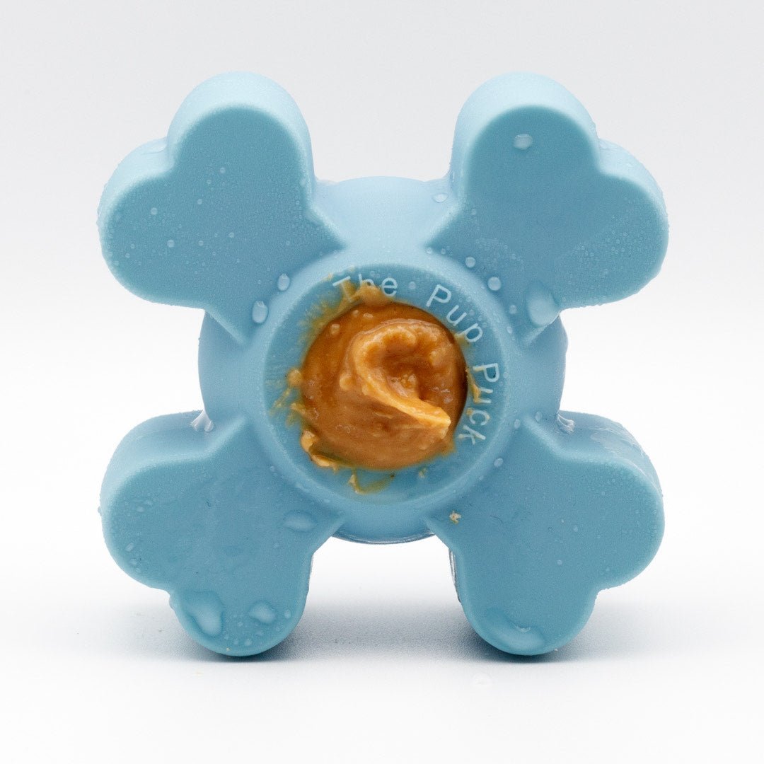 Pup Puck Toy - Modern Companion