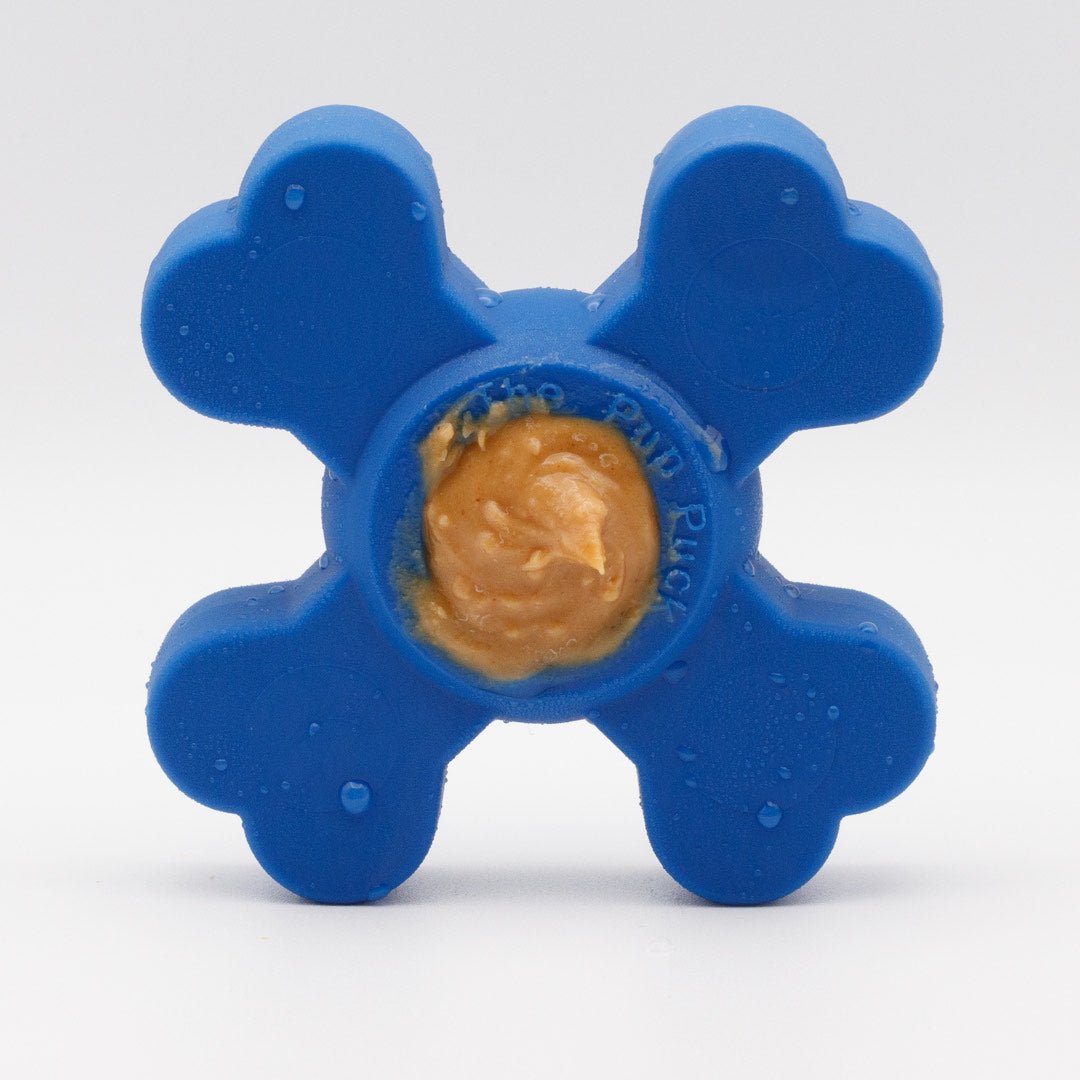 Pup Puck Toy - Modern Companion