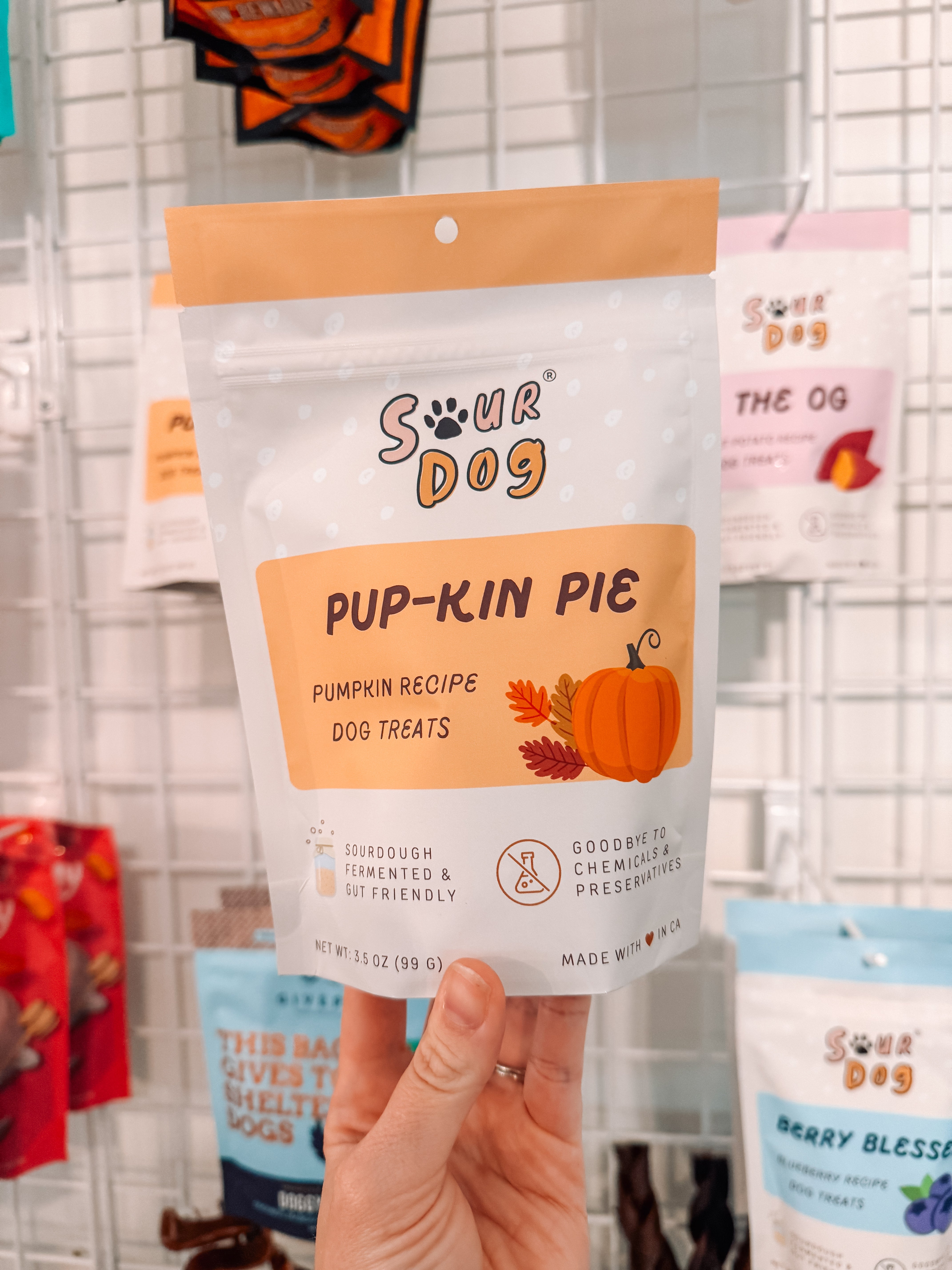 Pupkin Pie Pumpkin Sourdough Treats - Modern Companion
