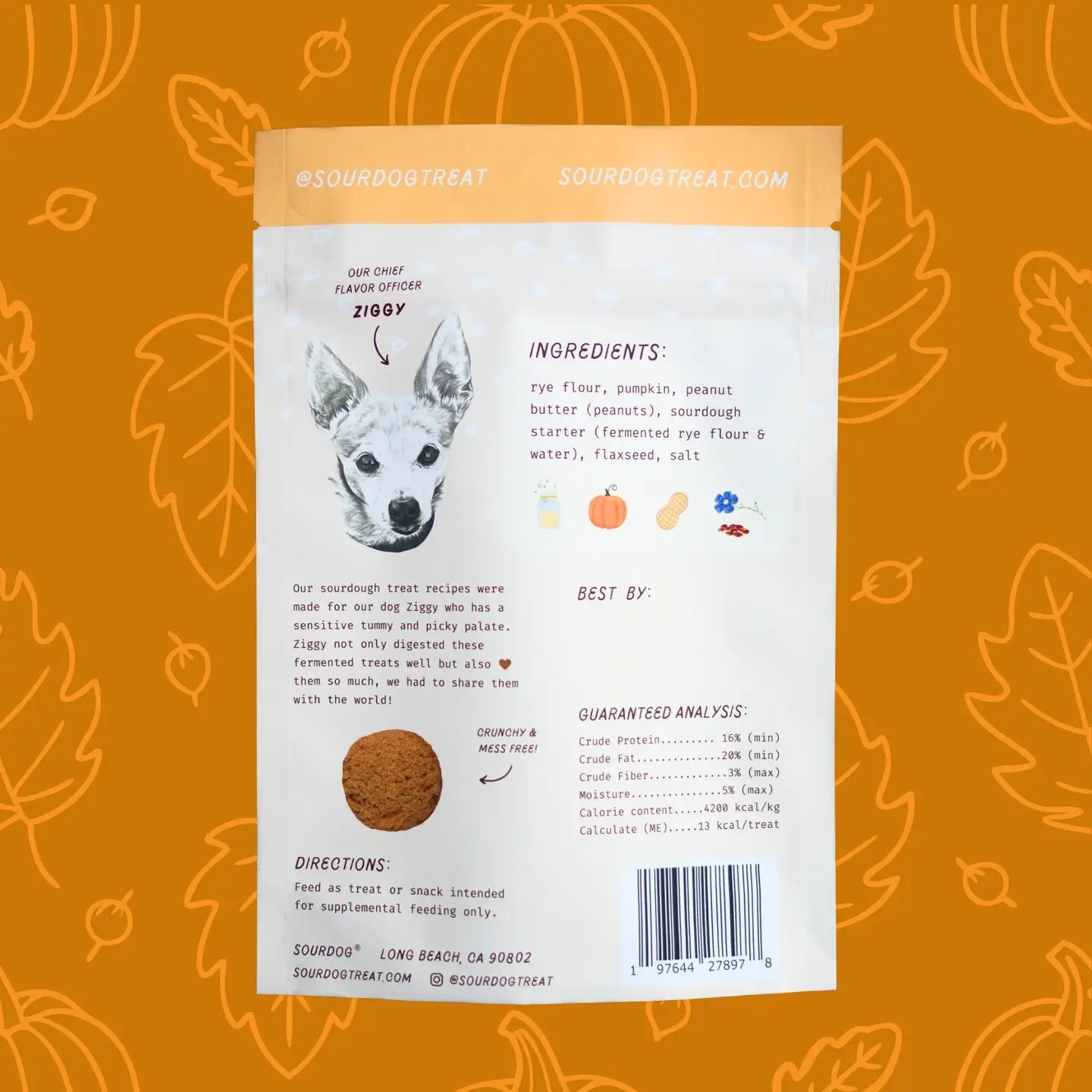 Pupkin Pie Pumpkin Sourdough Treats - Modern Companion