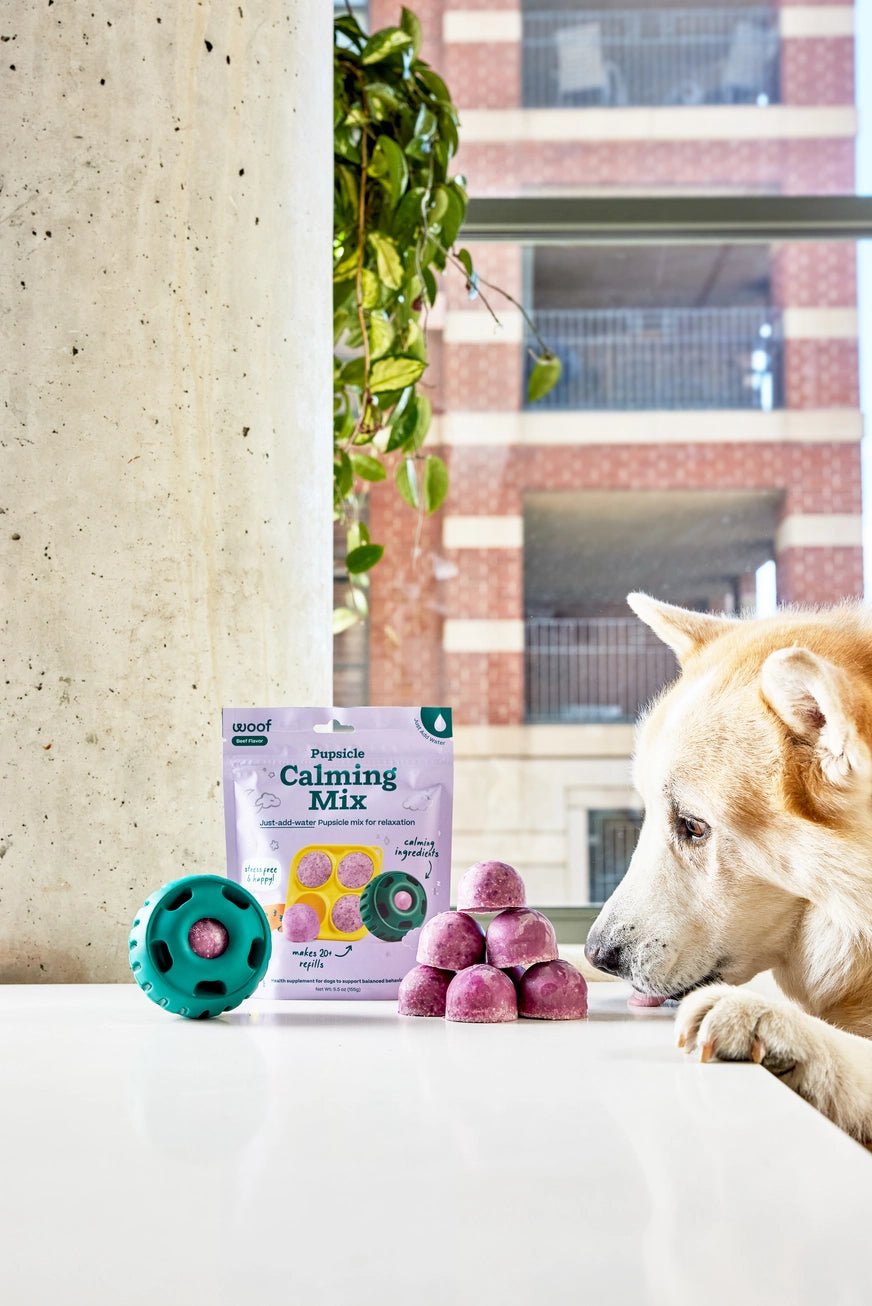 Pupsicle Treat Mix - Calming - Modern Companion