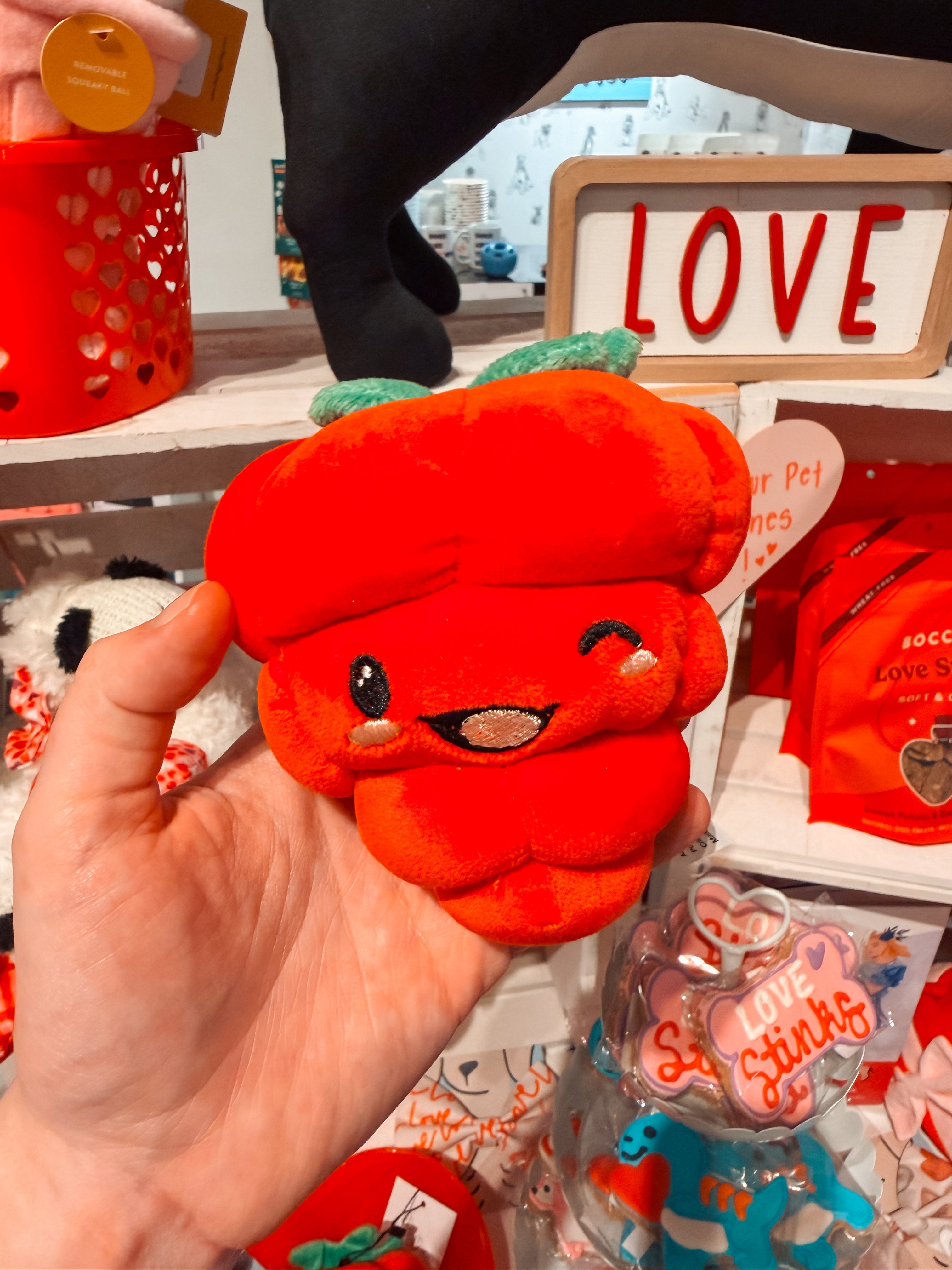 Rasberry Toy - Modern Companion