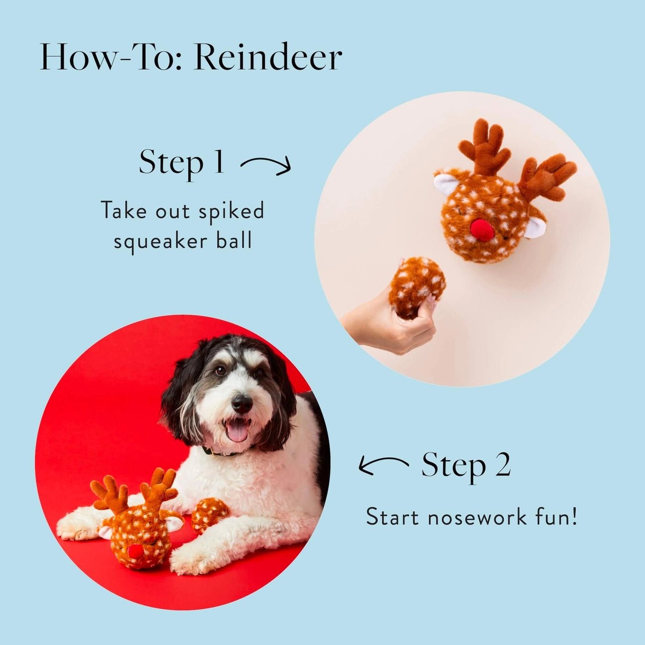 Reindeer 2 - in - 1 Bounce Toy - Modern Companion