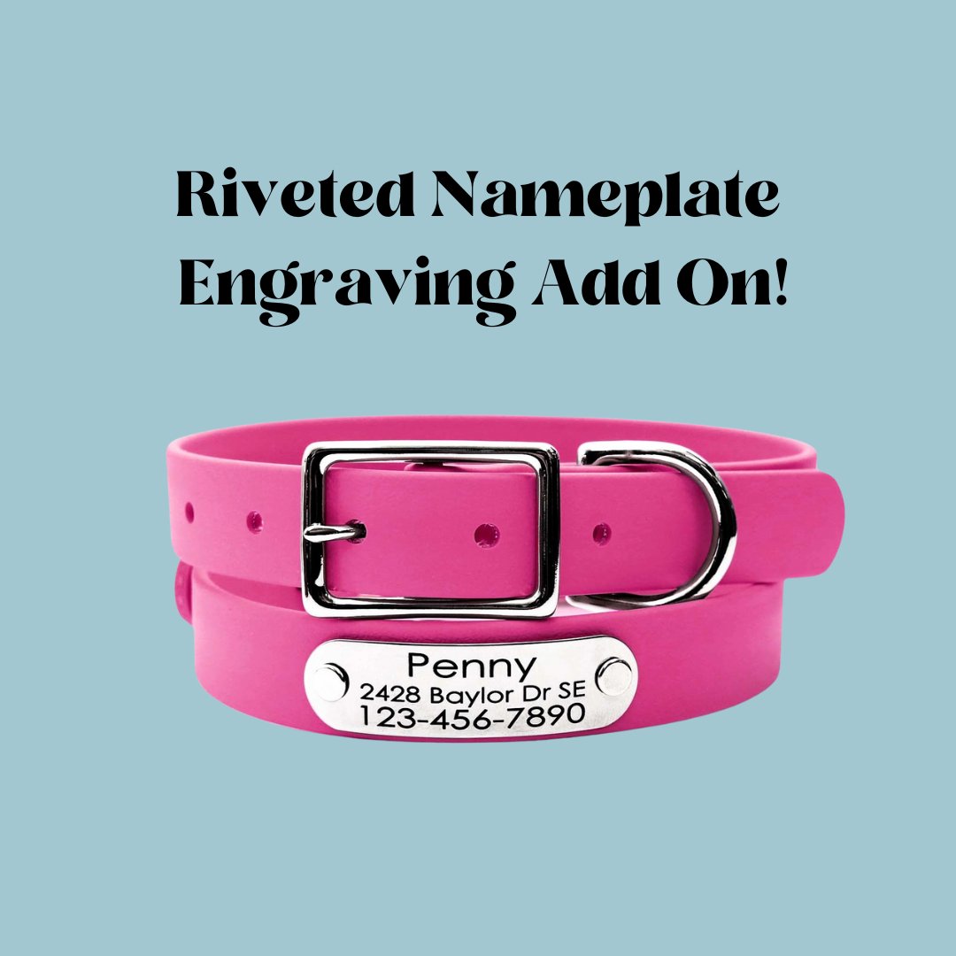 Riveted Nameplate Collar Engraving Add on - Modern Companion