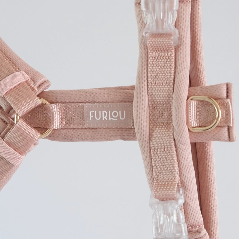 Rose Comfort Dog Harness - Modern Companion