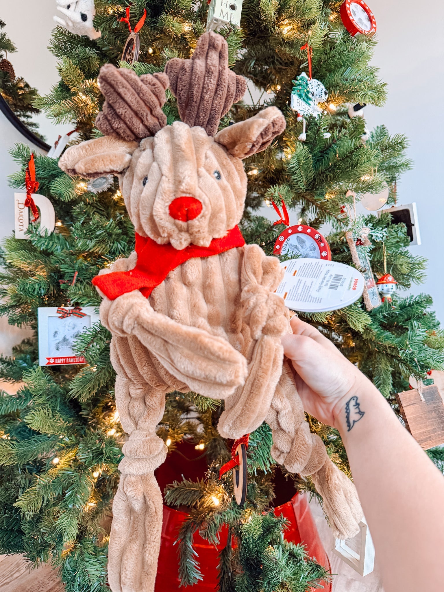 Rudy Reindeer Knottie - Modern Companion