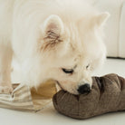 Rye Enrichment Toy - Modern Companion
