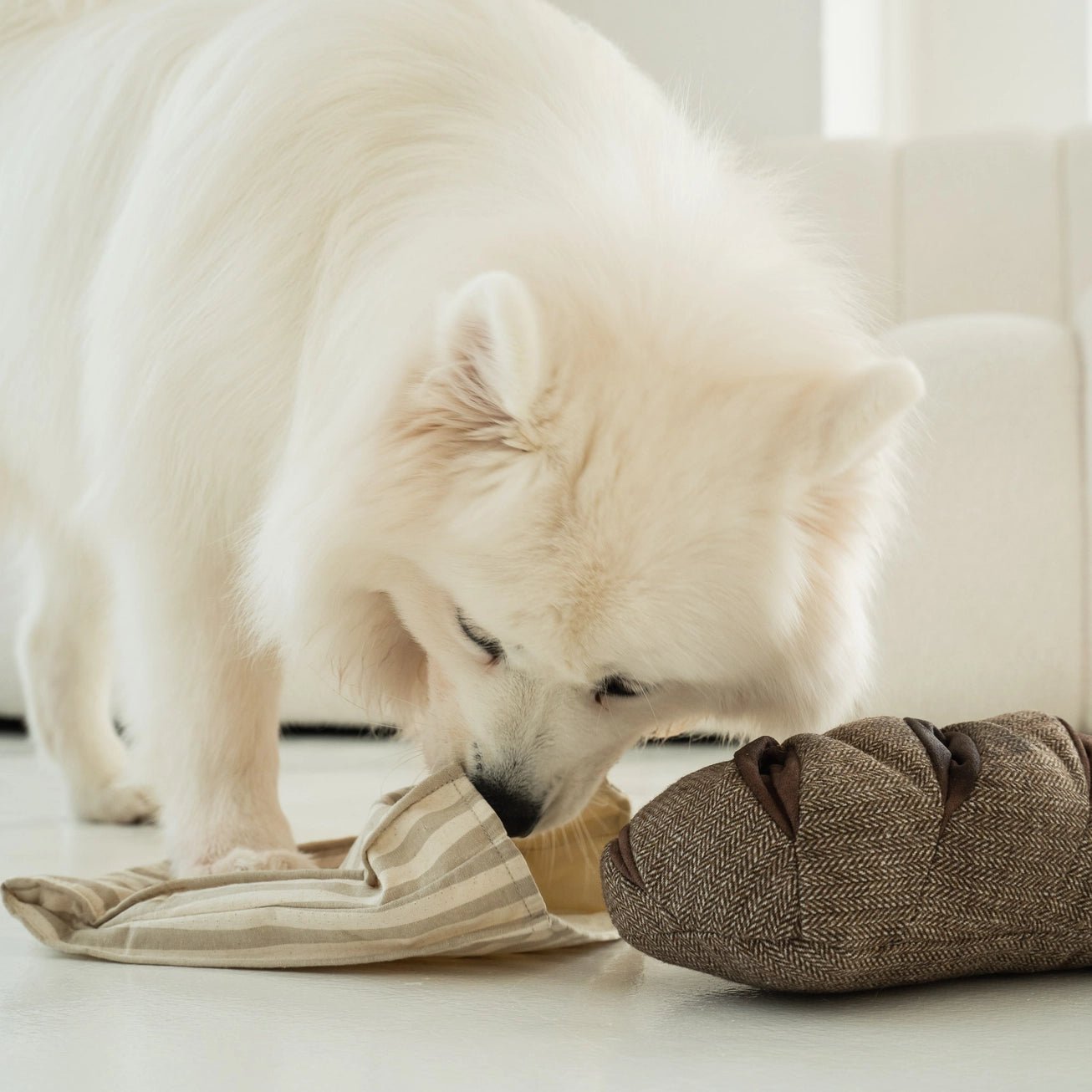 Rye Enrichment Toy - Modern Companion