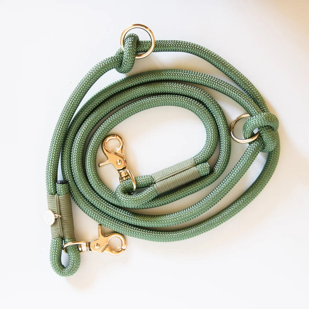 Sage Hands Free Rope Leash Modern Companion