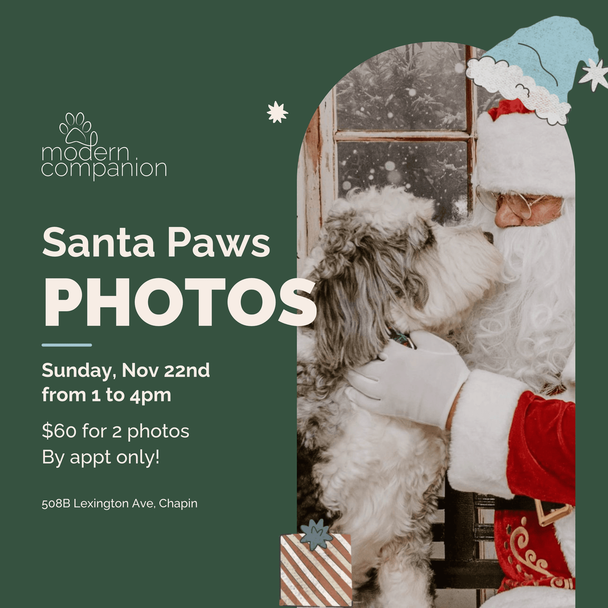Santa Paws Photos at Modern Companion 2026 - Modern Companion