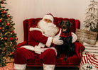 Santa Paws Photos at Modern Companion - Modern Companion