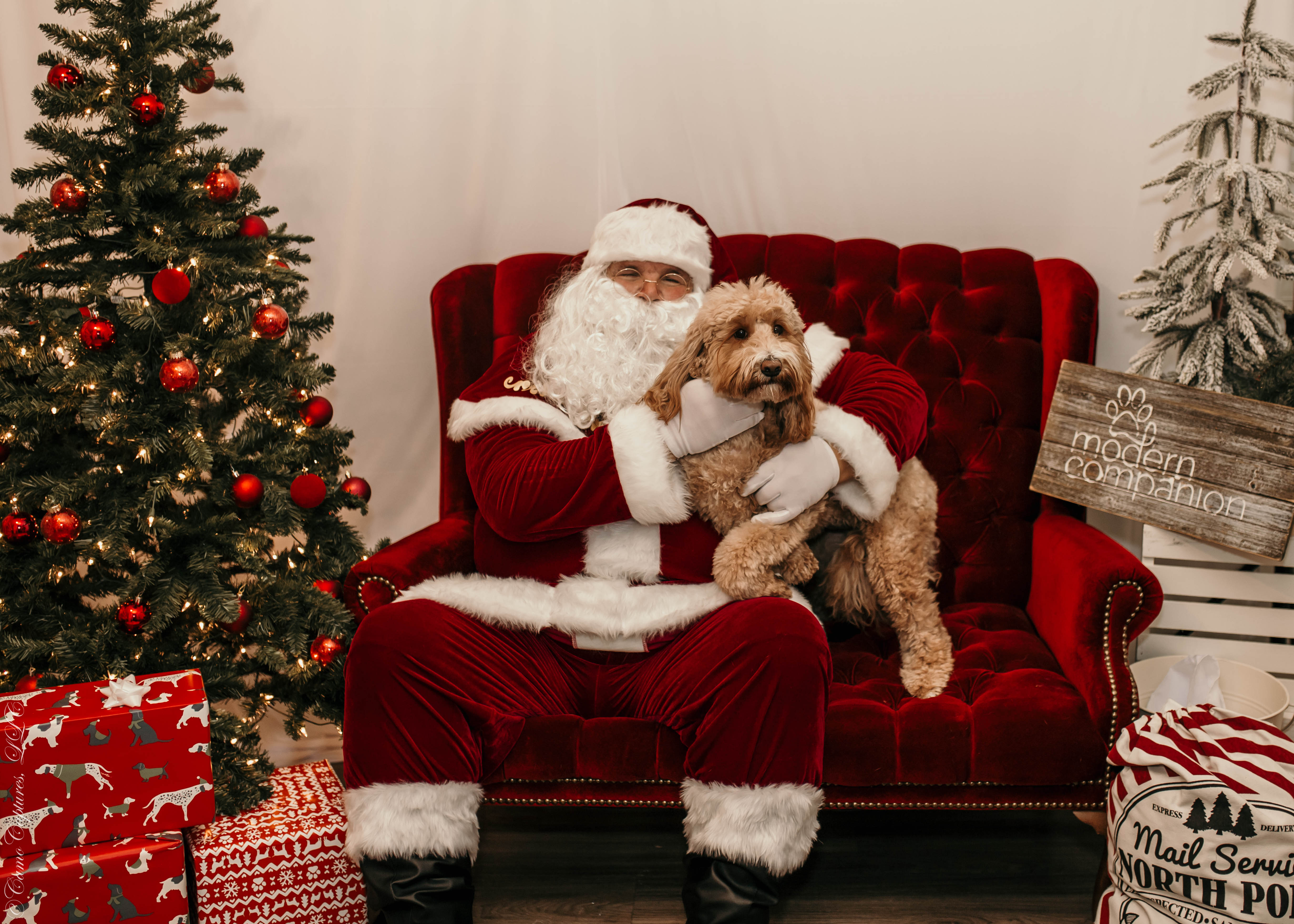 Santa Paws Photos at Modern Companion - Modern Companion