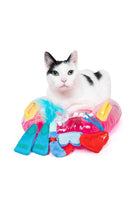 Scuba Mask Cat Toy - Modern Companion