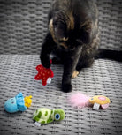 Sea Turtle & Star Cat Toys - Modern Companion