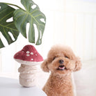 Shroom Dog Toy - Modern Companion