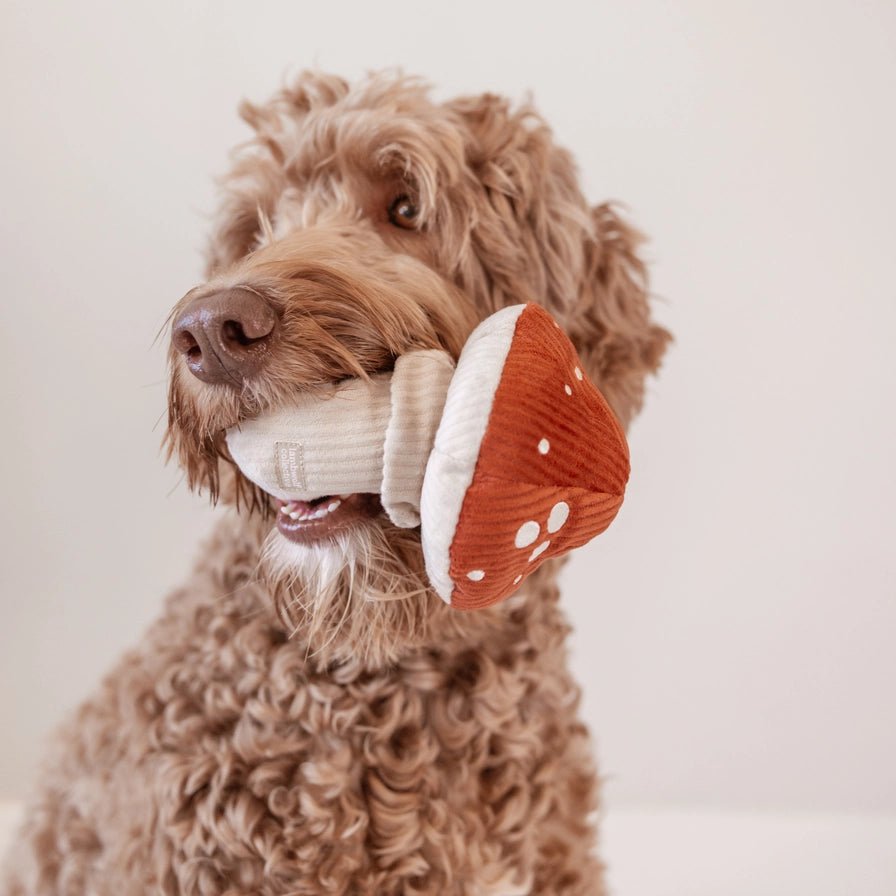 Shroom Dog Toy - Modern Companion