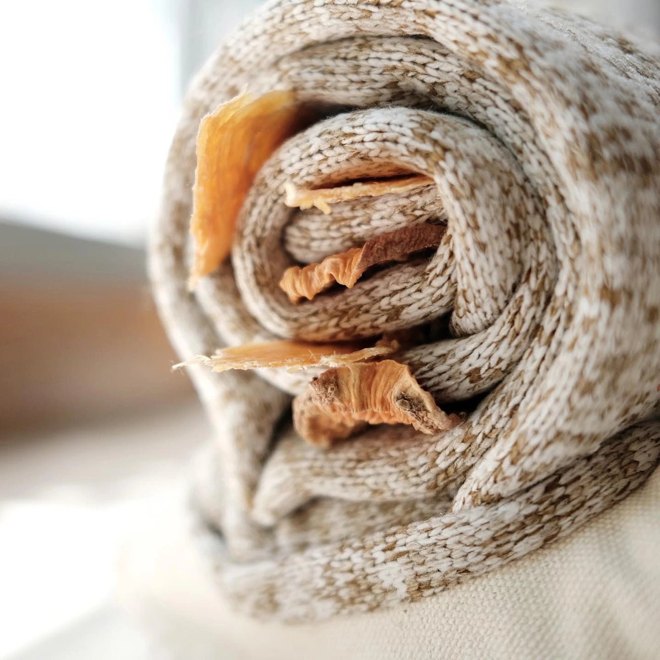 Snail Enrichment Toy - Modern Companion