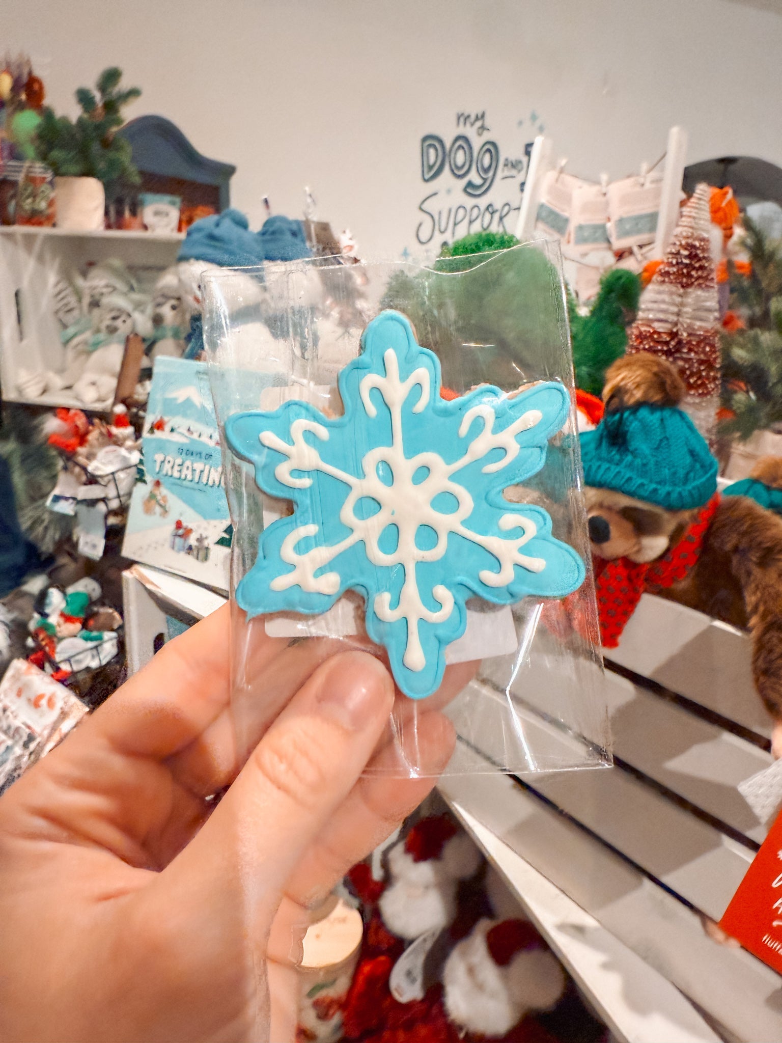 Snowflake Cookie - Modern Companion