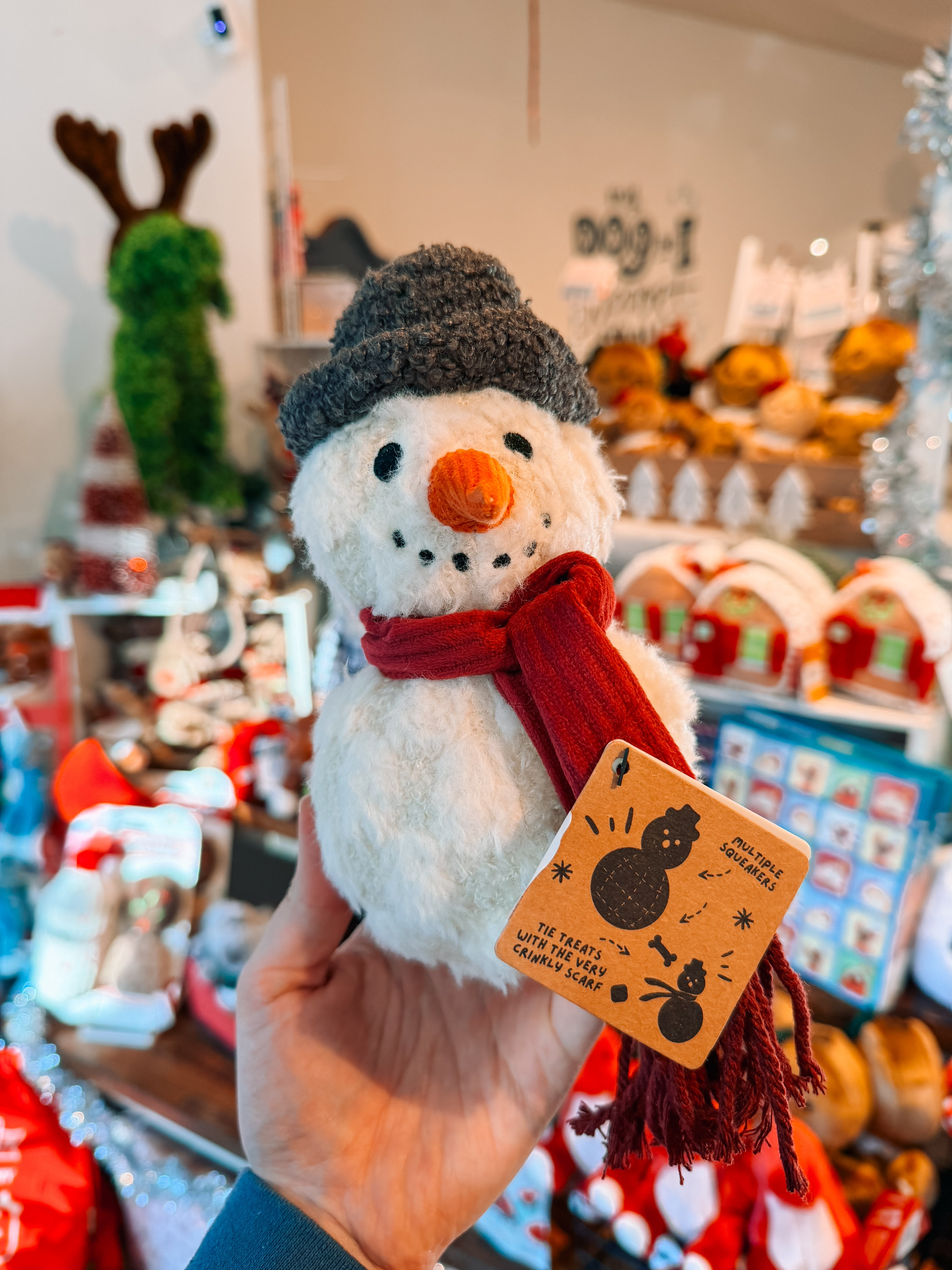 Snowman Enrichment Toy - Modern Companion