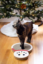 Snowman Scratch Cat Pad - Modern Companion