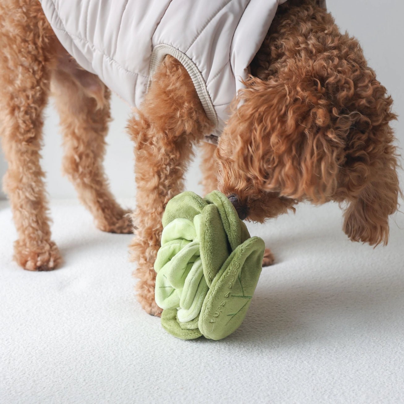 Snuffle Cabbage Nosework Toy - Modern Companion
