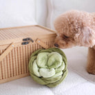 Snuffle Cabbage Nosework Toy - Modern Companion