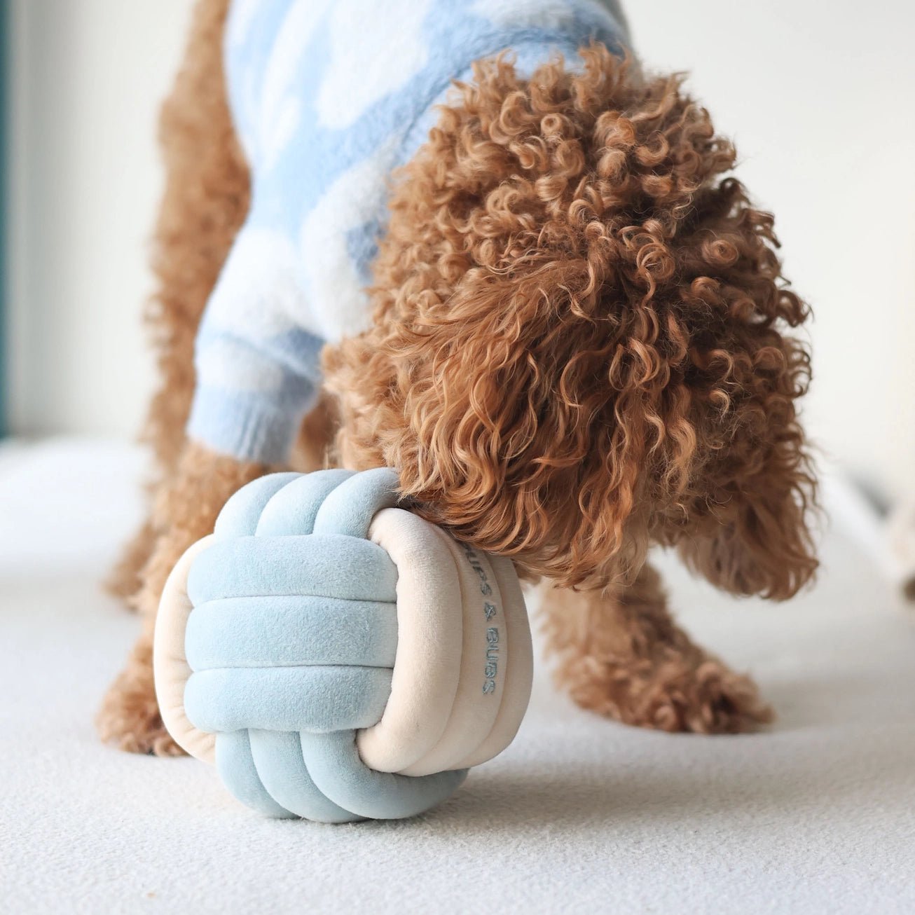 Snuffle Knot Nosework Toy - Modern Companion