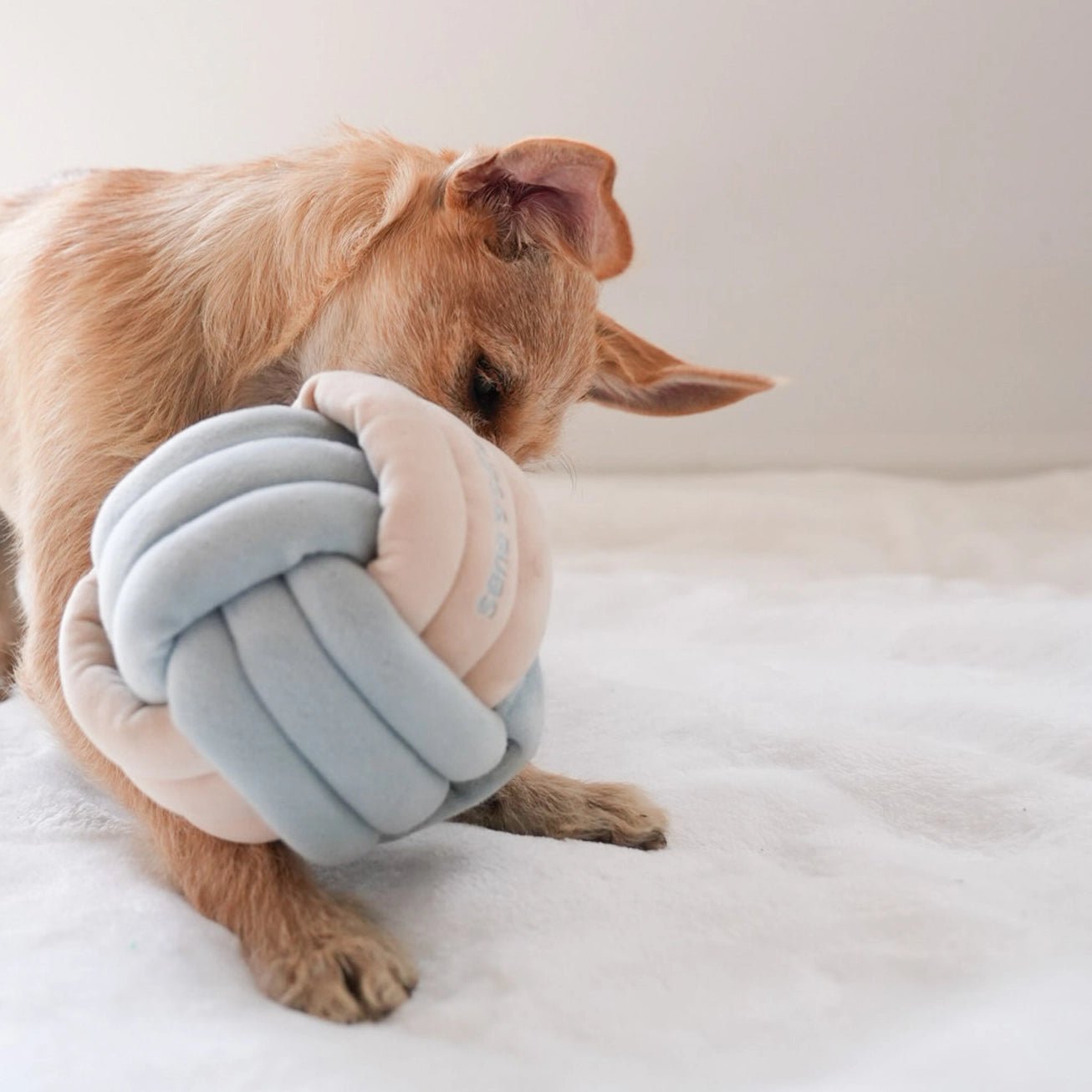 Snuffle Knot Nosework Toy - Modern Companion