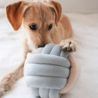 Snuffle Knot Nosework Toy - Modern Companion