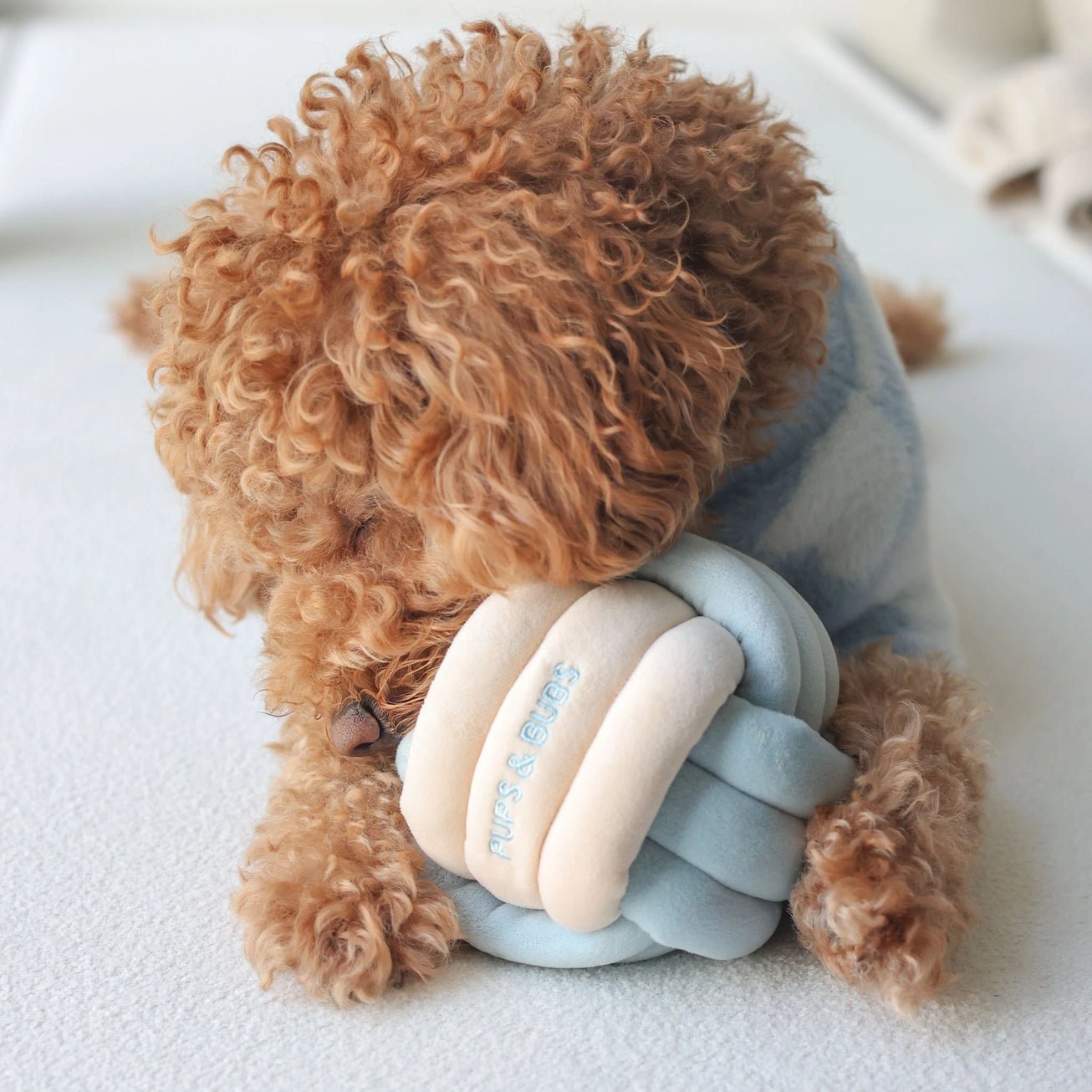 Snuffle Knot Nosework Toy - Modern Companion