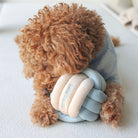 Snuffle Knot Nosework Toy - Modern Companion