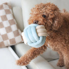 Snuffle Knot Nosework Toy - Modern Companion